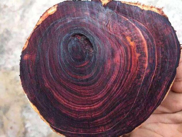 高级木材的基本特征