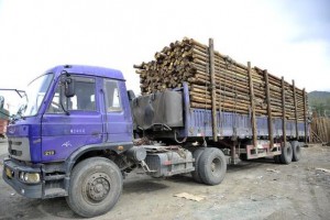 黔东南州榕江县多部门联合严查违规超载木材车辆