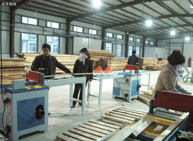 广西鹿寨打造木材加工百亿元产业