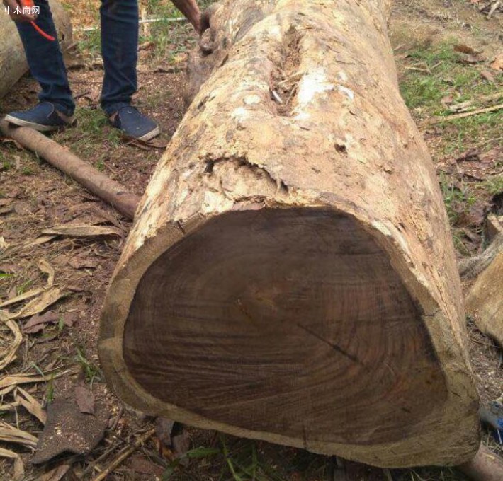 印尼黑酸枝原木价格多少钱一方