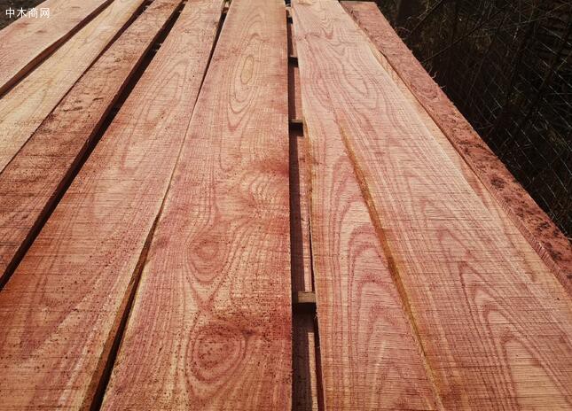 血椿木板材也叫红椿木板材,香椿木烘干板实物高清图片