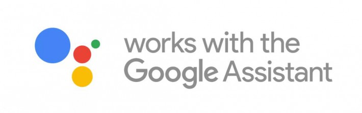 这个标志表示支持Google assistant