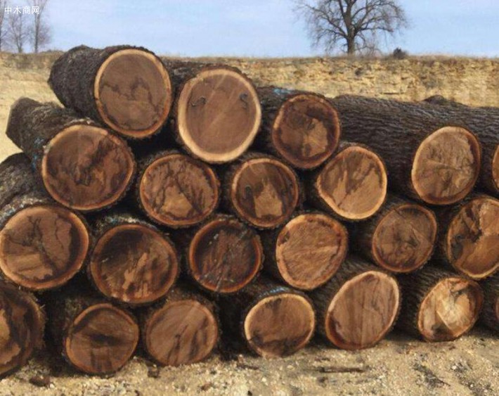 胡桃木是什么木头？