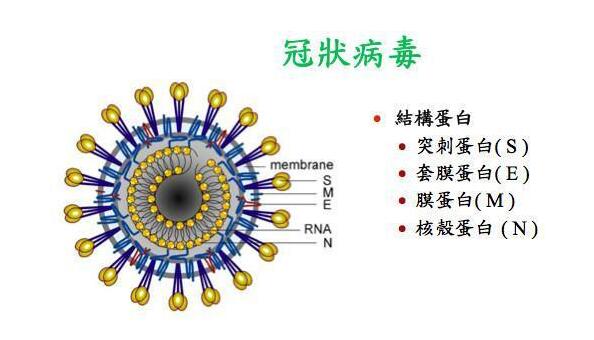 如SARS/这次的新型冠状病毒肺炎以及艾滋