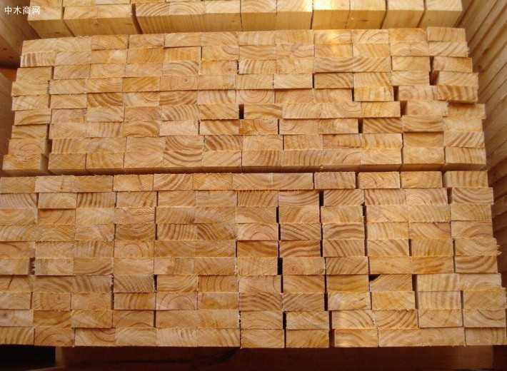 柏木建筑木方常用作装修