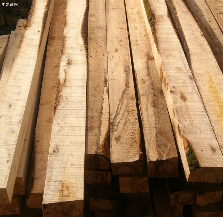 建筑木方使用的是什么木头