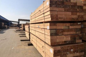 太仓最大的建筑木方木材加工厂家批发价格
