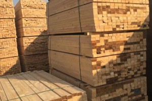太仓最大的建筑木方木材加工厂家批发价格图3