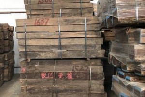 墨西哥微凹黄檀原木厂家直销图2