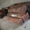 红豆杉原木厂家批发,一手货源，品质保证
