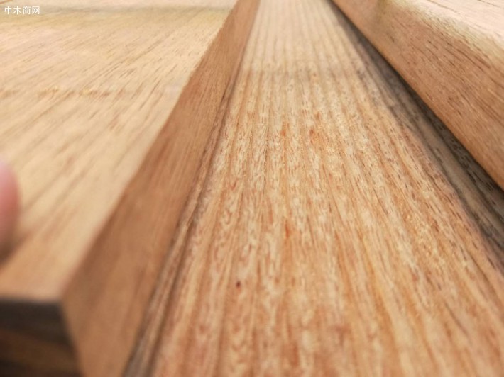 金丝柚木是种什么木材以及金丝柚木防腐木板材有哪些优点与缺点图片