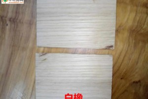 专业定制白橡木艺品木坯图1