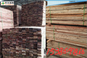 水杉木板材多少一立方图2