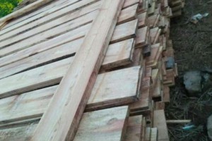 长期批发水杉板材图1