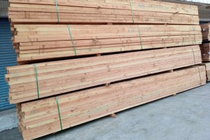 常德水杉木板材有什么优点？水杉木板材一般的价格是多少？