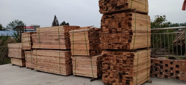 常德水杉木板材有什么优点？水杉木板材一般的价格是多少图片