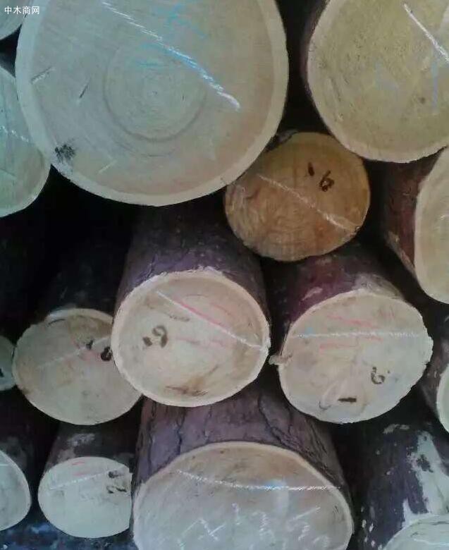 红松原木厂家最低批发价格