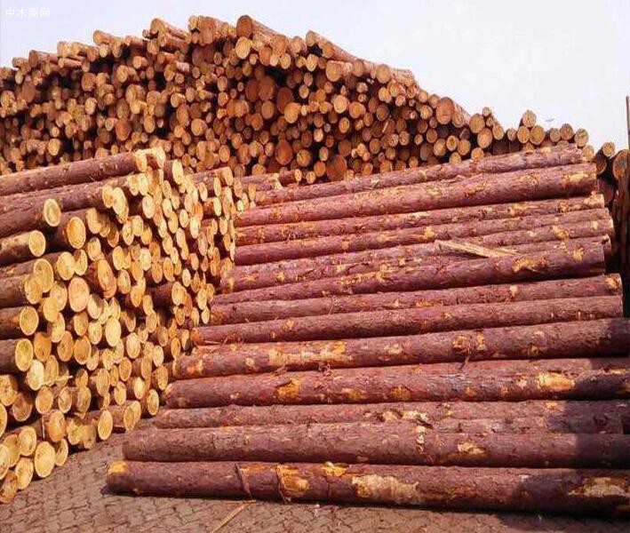 2019年国际主要木材进口国的库存都高于平均水平
