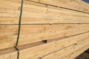 澳洲松木锯木毛板材出口图1