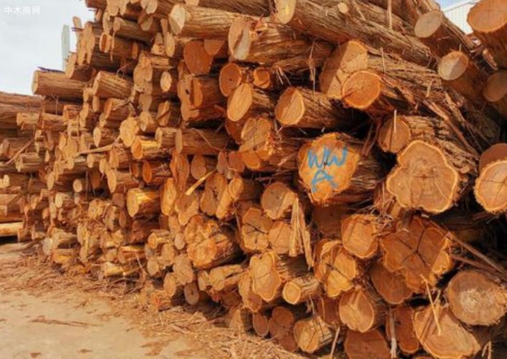 澳洲酸枝红木家具,澳洲酸枝木原木出口批发商
