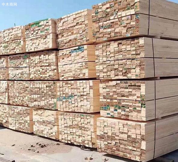 2020年木材市场显示全球针叶木锯材产量预计将增长24%