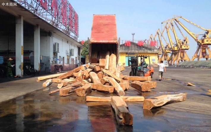 非洲加纳北部刺猬紫檀原木厂家直销品牌