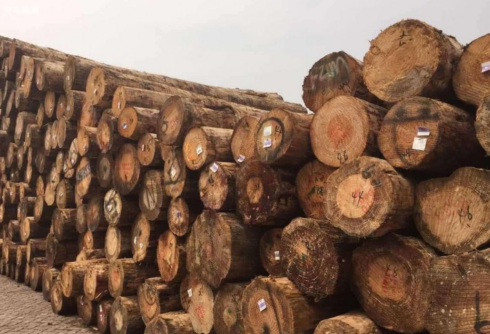 2020新西兰木材承包商已经停止原木采伐