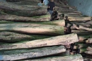 老挝大红酸枝原木厂家直销