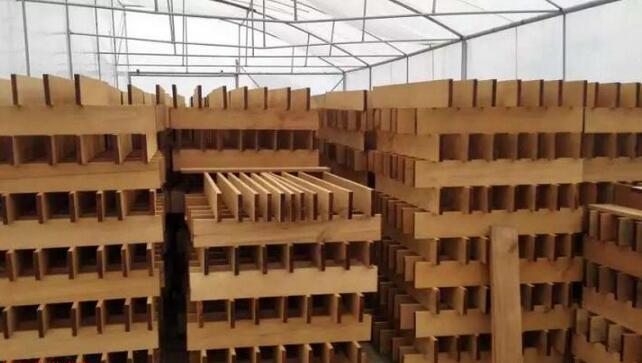 实木缅甸柚木地板坯料,防水环保耐磨地暖地板胚料厂家直销