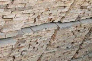 专业批发4米杉木桩价格质优价廉图2