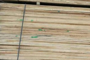 专业批发4米杉木桩价格质优价廉图3