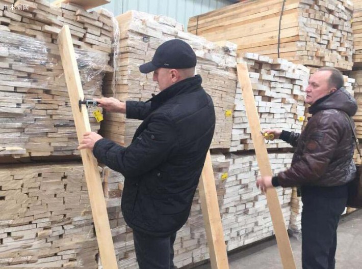 俄罗斯驻青岛办事处提供自然宽桦木板材