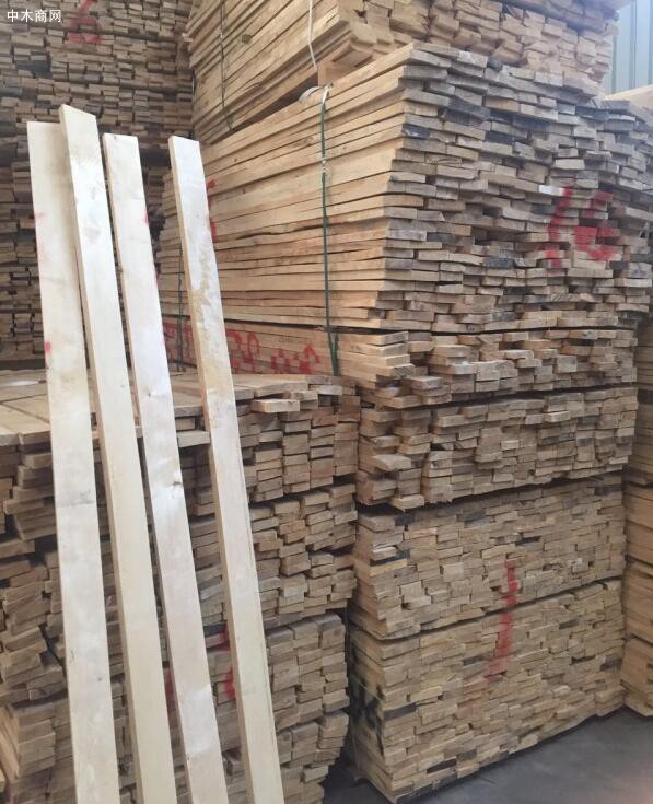俄罗斯驻青岛办事处提供自然宽桦木板材图片