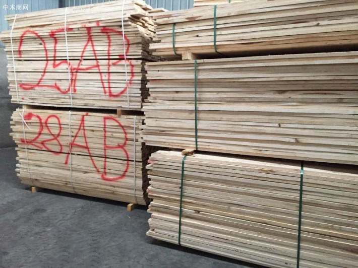 俄罗斯驻青岛办事处提供桦木烘干齐边板材