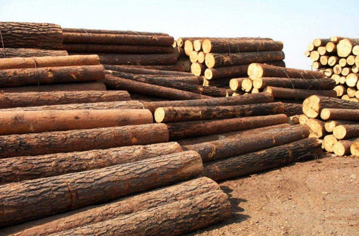 因疫情被迫延长假期的中国木材市场“小阳春”行情正在起步?