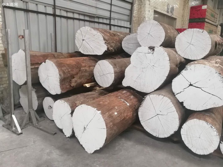亚马逊花梨原木,防腐进口地板家具用途亚马逊花梨木材价格