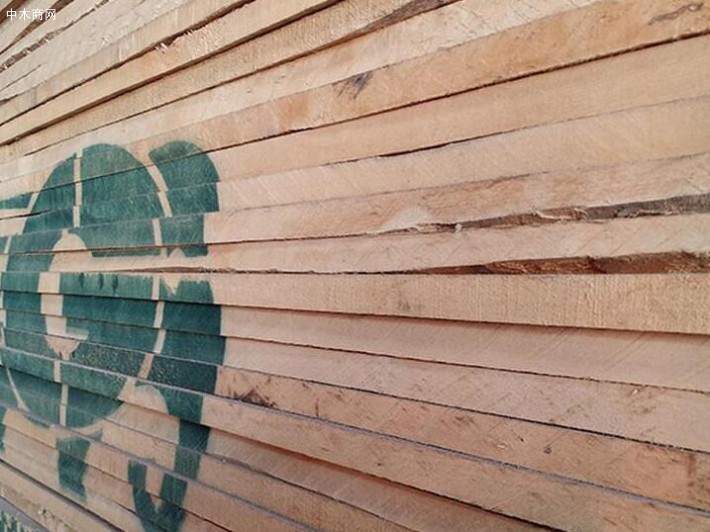 北美硬枫木板材海关拍卖低价厂家