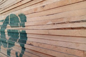 北美硬枫木板材海关拍卖低价图2