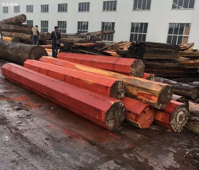 非洲红铁木原木厂家直销