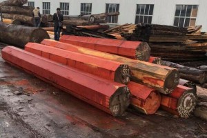 非洲红铁木原木厂家直销