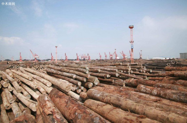 因新冠病毒的影响，马来西亚对木材贸易持悲观态度