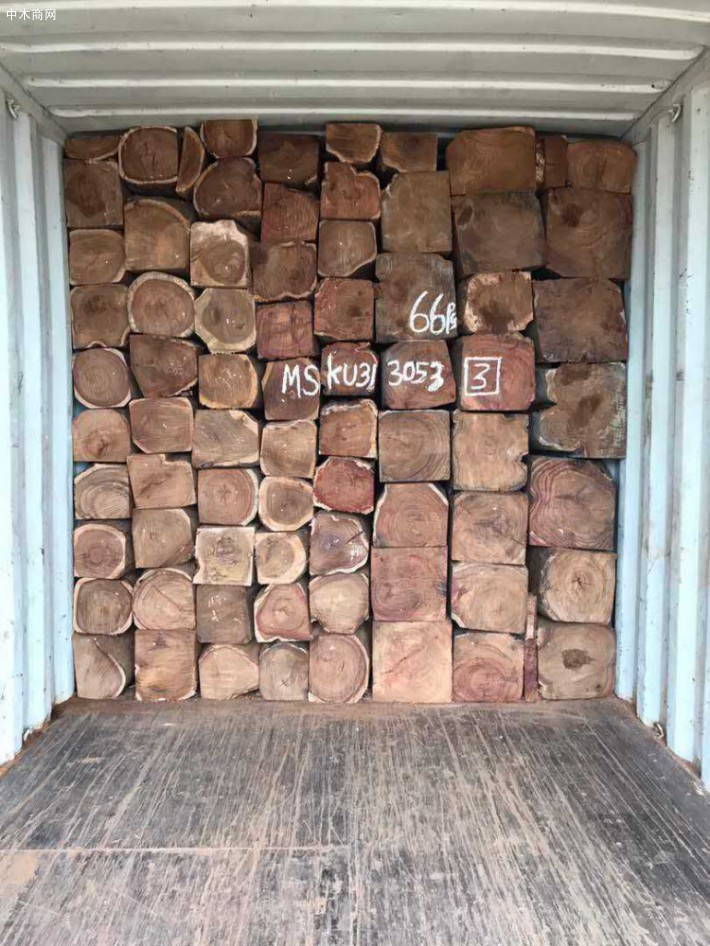 优质刺猬紫檀大方,非洲亚花梨原木木材一手货源厂家