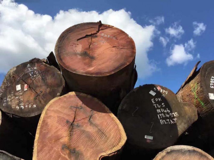 进口南美红檀原木贸易质量优量大优