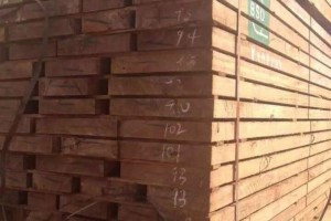 优质榉木直边材批发