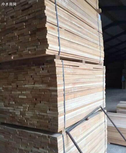 供应欧洲榉木板材批发