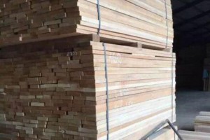 供应欧洲榉木板材批发