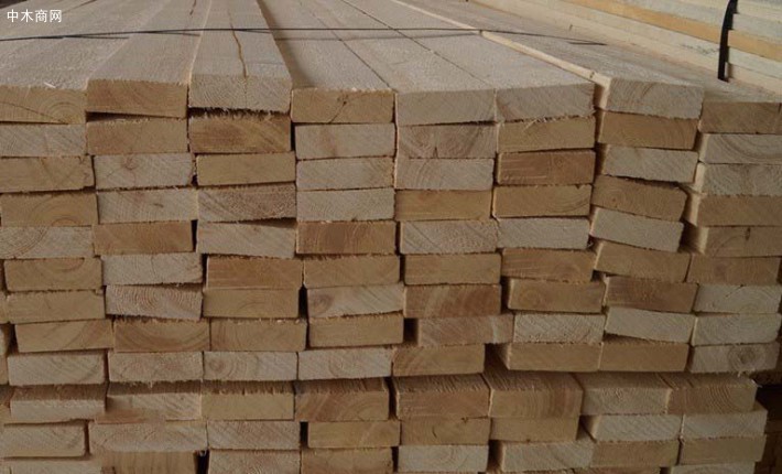 立陶宛樟子松木板材源头直供接受预定图片