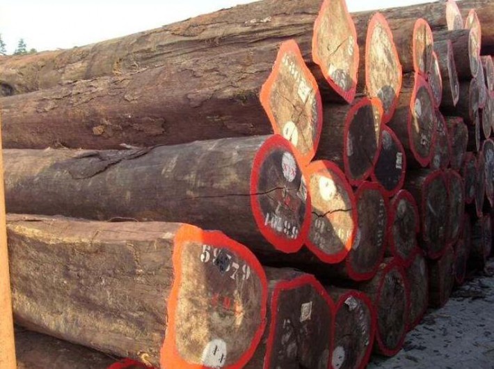 非洲红铁木原木批发价格