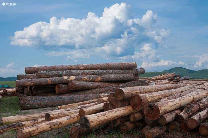 俄罗斯联邦林业署预测今年存在森林火灾隐患的地区