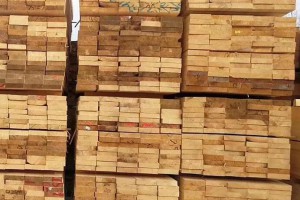 上海宝寨木业新西兰辐射松烘干板材高清图片